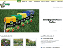 Tablet Screenshot of fructul.md